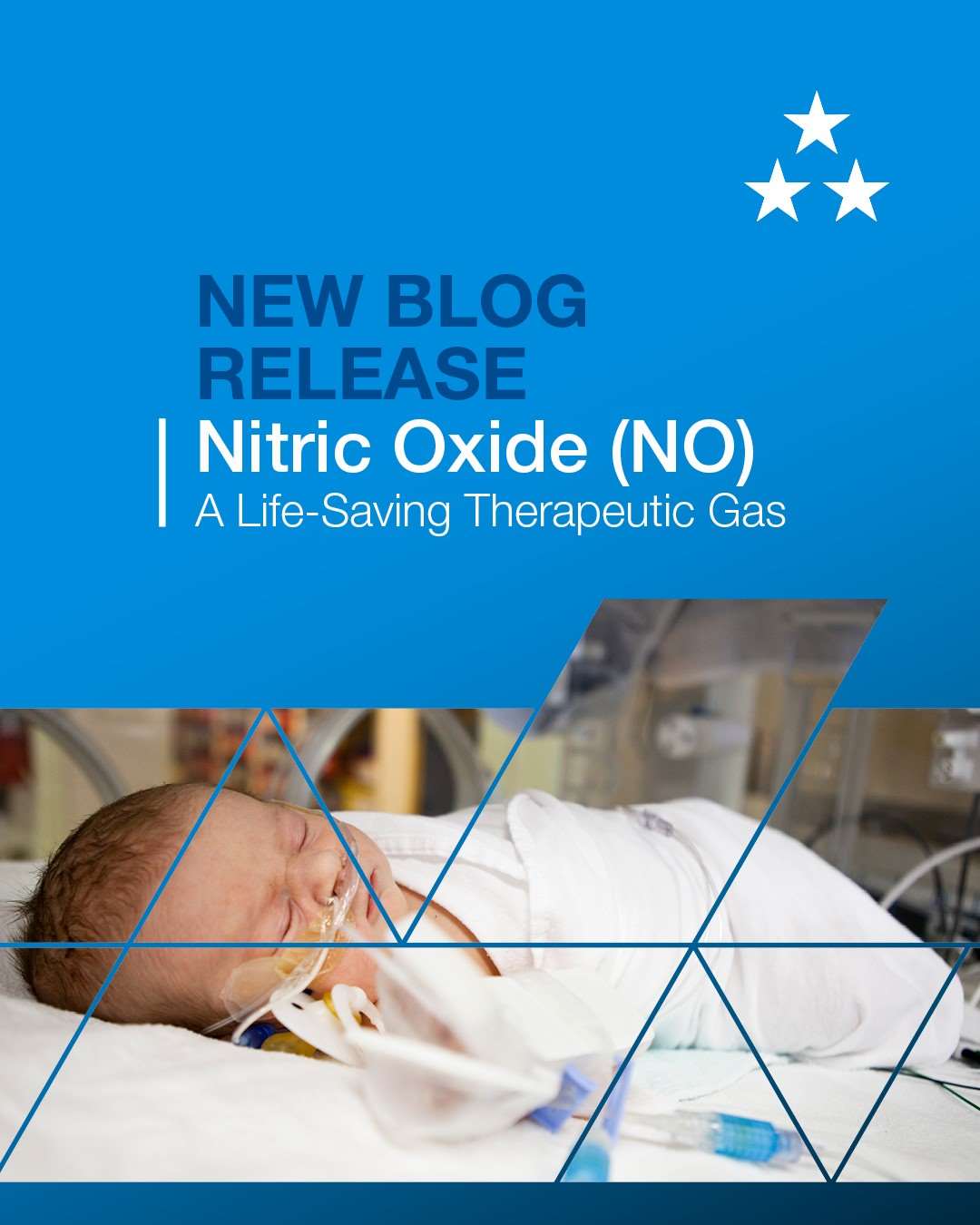 Nitric Oxide (NO): A Life-Saving Therapeutic Gas Nitric Oxide (NO): A Life-Saving Therapeutic Gas